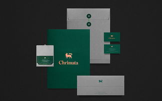 Chrimata投资咨询公司企业形象设计